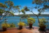 139 Riverview Road, Avalon Beach, NSW 2107-Image