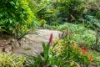 139A Mcauleys Lane, Myocum, NSW 2481-Image