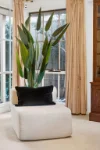 13A Broughton Street, Glenside, SA 5065-Image