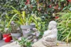 13b Angophora Place, Catalina, NSW 2536-Image