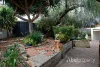 13B Orchid Street, Joondanna, WA 6060-Image