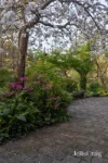 14-16 Curry Road, Park Orchards, Vic 3114-Image