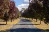 14-16 Nelson Place, Armidale, NSW 2350-Image