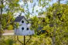14-16 Nelson Place, Armidale, NSW 2350-Image