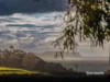 14-16 Richardson Crescent, Park Grove, Tas 7320-Image