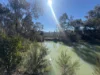 14-18 Cherry Street, Barraba, NSW 2347-Image
