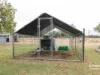 14 - 32 Lochrey Road, Gunnedah, NSW 2380-Image