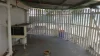 14 Acacia Street,, Blackwater, Qld 4717-Image