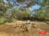 14 Alandale Close, Ventnor, Vic 3922-Image
