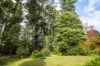 14 Albert Street, Leura, NSW 2780-Image