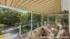 14 Amber Avenue, Russell Island, Qld 4184-Image