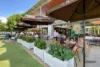 14 Amboina Avenue, Palm Beach, Qld 4221-Image