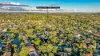 14 Aneto Street, Riverhills, Qld 4074-Image