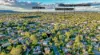 14 Aneto Street, Riverhills, Qld 4074-Image