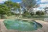 14 Argonne Street, North Strathfield, NSW 2137-Image