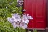 14 Arnott Street, Dodges Ferry, Tas 7173-Image