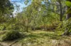 14 Avon Road, Avonsleigh, Vic 3782-Image