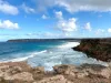14 Bay Road, Venus Bay, SA 5607-Image
