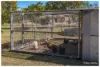 14 Beak Street, Gracemere, Qld 4702-Image