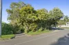 14 Bean Street, Maleny, Qld 4552-Image