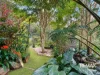 14 Beech Street, Maleny, Qld 4552-Image