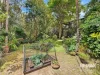 14 Beech Street, Maleny, Qld 4552-Image