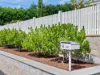 14 Bellevue Parade, New Town, Tas 7008-Image
