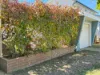 14 Binalong Street, Young, NSW 2594-Image