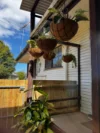 14 Birru Street, Wynnum West, Qld 4178-Image