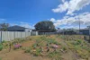 14 Bligh Lane, Muswellbrook, NSW 2333-Image