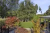 14 Bridge Street, Trentham, Vic 3458-Image