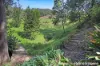 14 Brooks Lane, Kangaroo Valley, NSW 2577-Image