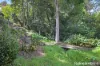 14 Brooks Lane, Kangaroo Valley, NSW 2577-Image