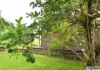 14 Brosnan Street, Tully, Qld 4854-Image