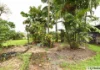 14 Brosnan Street, Tully, Qld 4854-Image