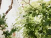 14 Brushy Creek Road, Lenah Valley, Tas 7008-Image
