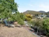 14 Brushy Creek Road, Lenah Valley, Tas 7008-Image