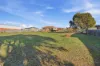 14 Burrows Avenue, Brighton, Tas 7030-Image