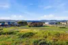 14 Burrows Avenue, Brighton, Tas 7030-Image