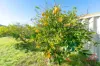 14 Bushby Close, Mount Tarcoola, WA 6530-Image