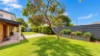 14 Cambuca Court, Tewantin, Qld 4565-Image