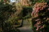 14 Cards Lane, Olinda, Vic 3788-Image