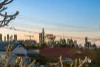 14 Cedar Street, Greenslopes, Qld 4120-Image