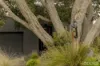 14 Chaudenay Mews, Ocean Grove, Vic 3226-Image