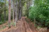 14 Chipper Close, Bedfordale, WA 6112-Image