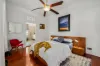 14 Cochrane Street, Paddington, Qld 4064-Image
