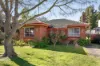 14 Conifer Street, Hampton, Vic 3188