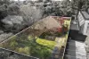 14 Conifer Street, Hampton, Vic 3188-Image