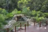 14 Coppin Grove, Redgate, WA 6286-Image