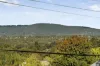 14 Denis Street, Vermont, Vic 3133-Image